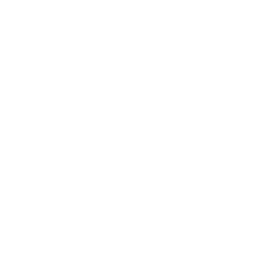 logo Yes Wellness