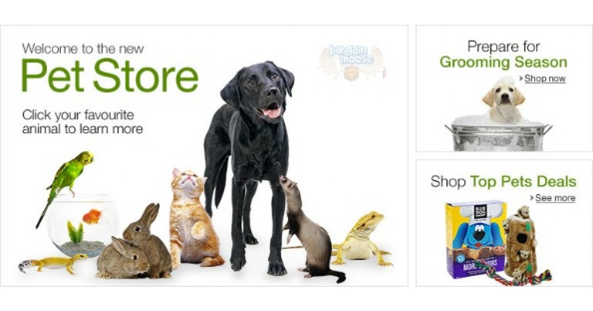 Shopping pets. Магазин «your Pet». Pet. Pets products in the Store. Start Pets.