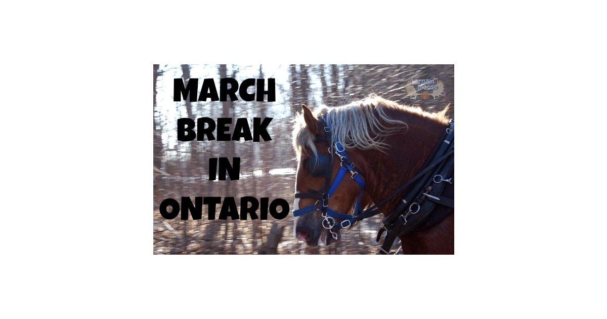 Discounted & Free Ideas For What To Do On March Break In Ontario