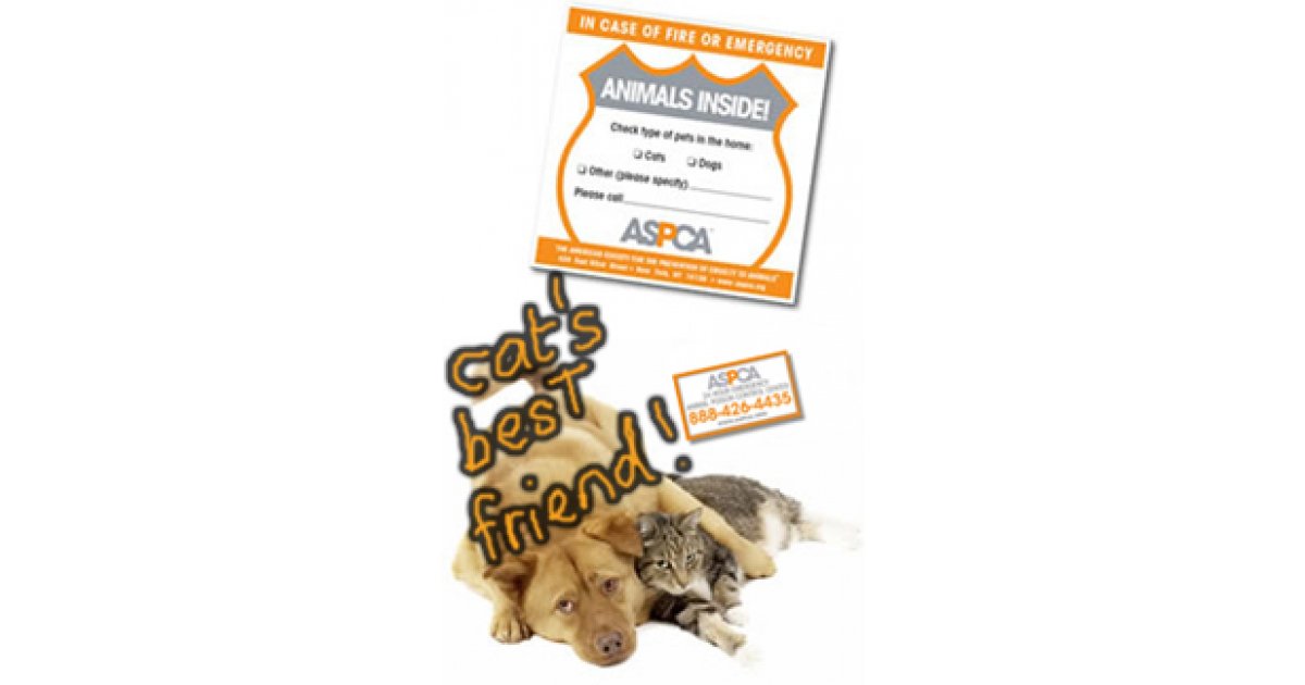 Canadian Freebies: Free ASPCA Pet Safety Pack!